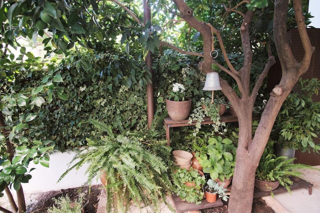 La Casa Del Jardin Villa Candeleda Buitenkant foto
