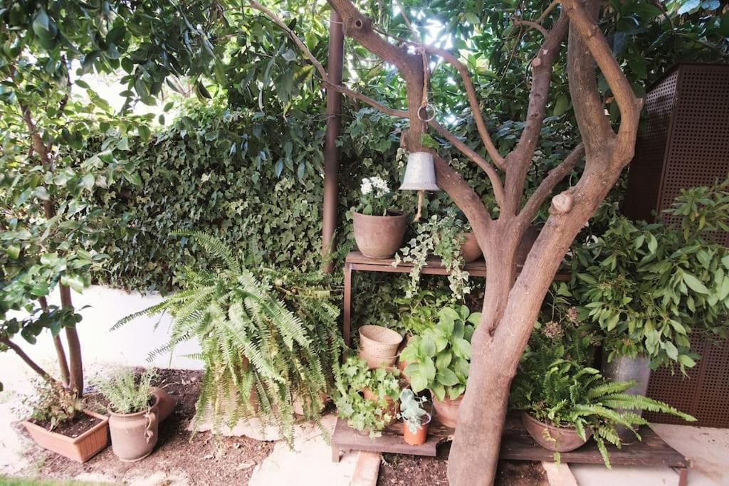 La Casa Del Jardin Villa Candeleda Buitenkant foto